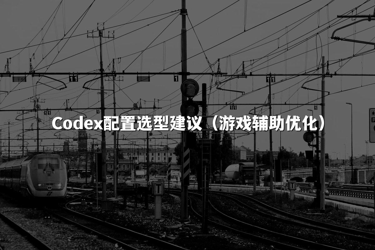 Codex配置选型建议（游戏辅助优化）