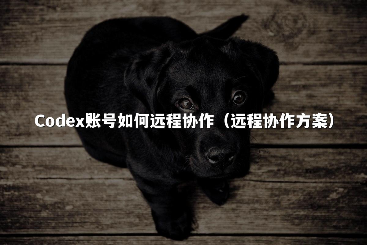 Codex账号如何远程协作（远程协作方案）