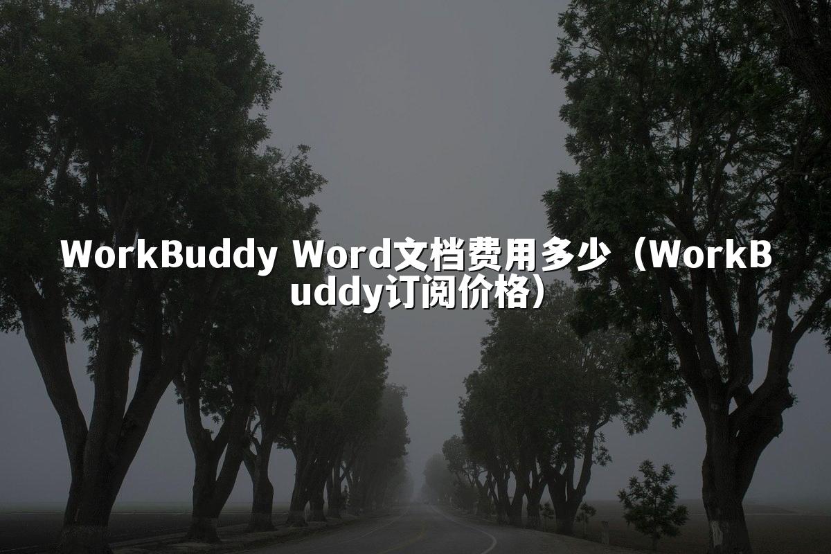WorkBuddy Word文档费用多少(WorkBuddy订阅价格)