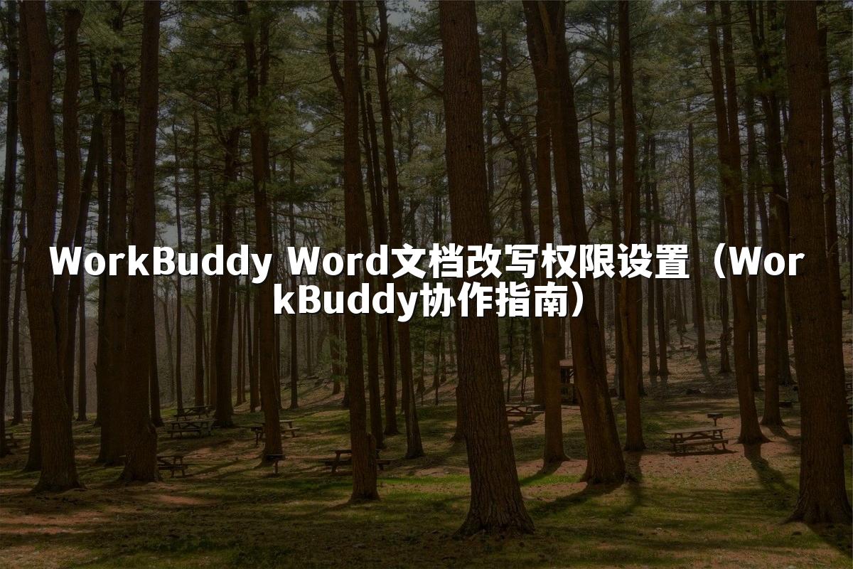 WorkBuddy Word文档改写权限设置（WorkBuddy协作指南）