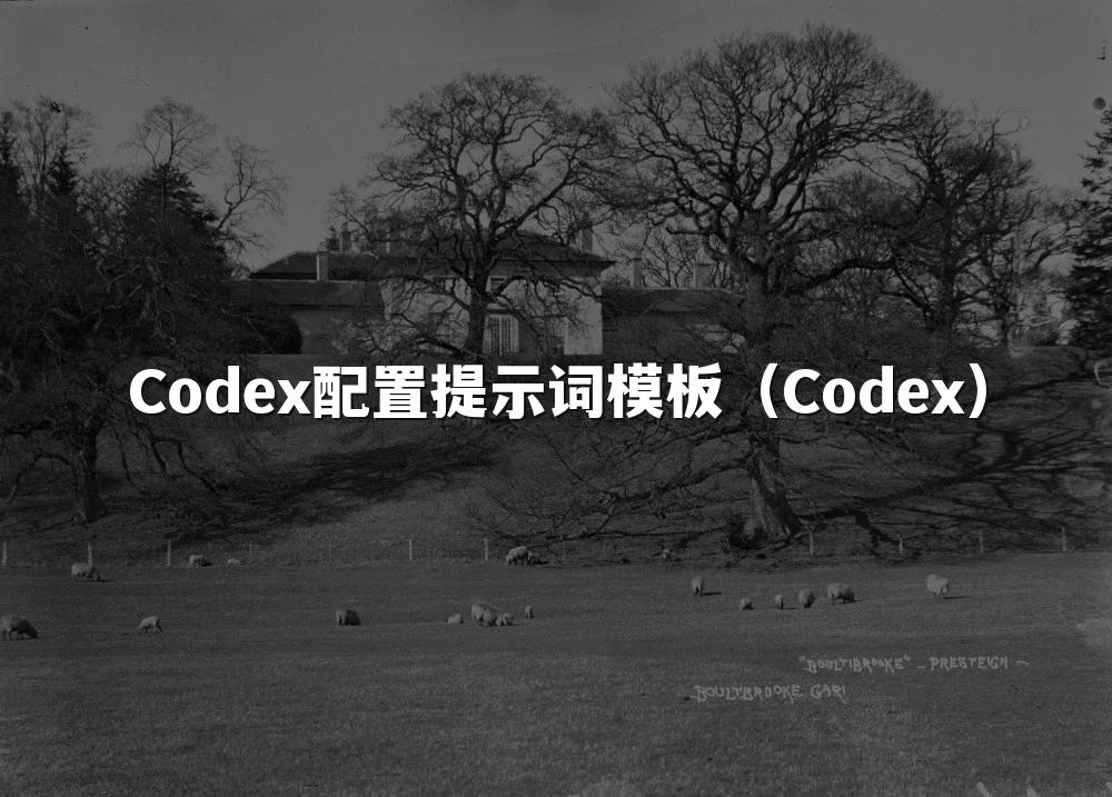 Codex配置提示词模板（Codex）