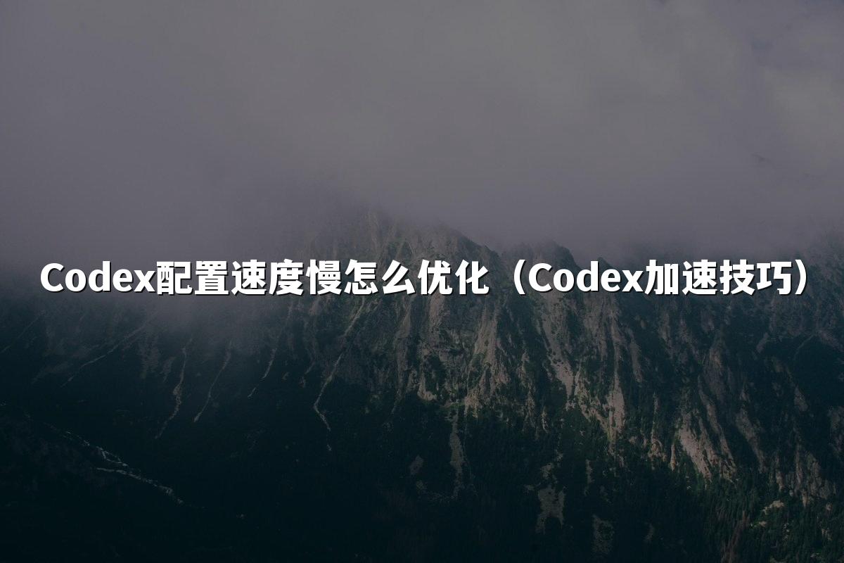 Codex配置速度慢怎么优化（Codex加速技巧）