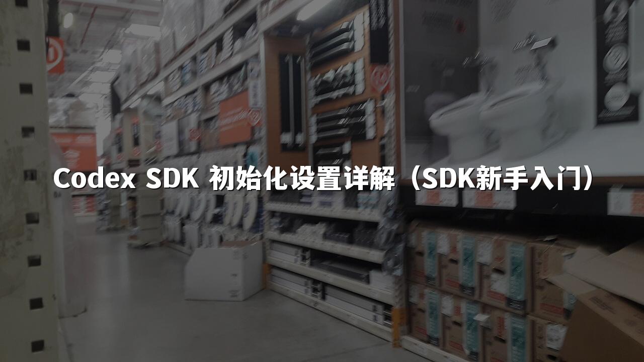 Codex SDK 初始化设置详解（SDK新手入门）