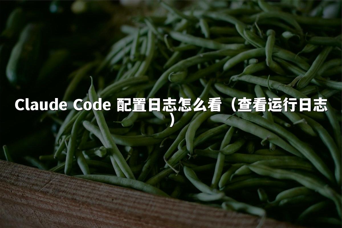 Claude Code 配置日志怎么看（查看运行日志）