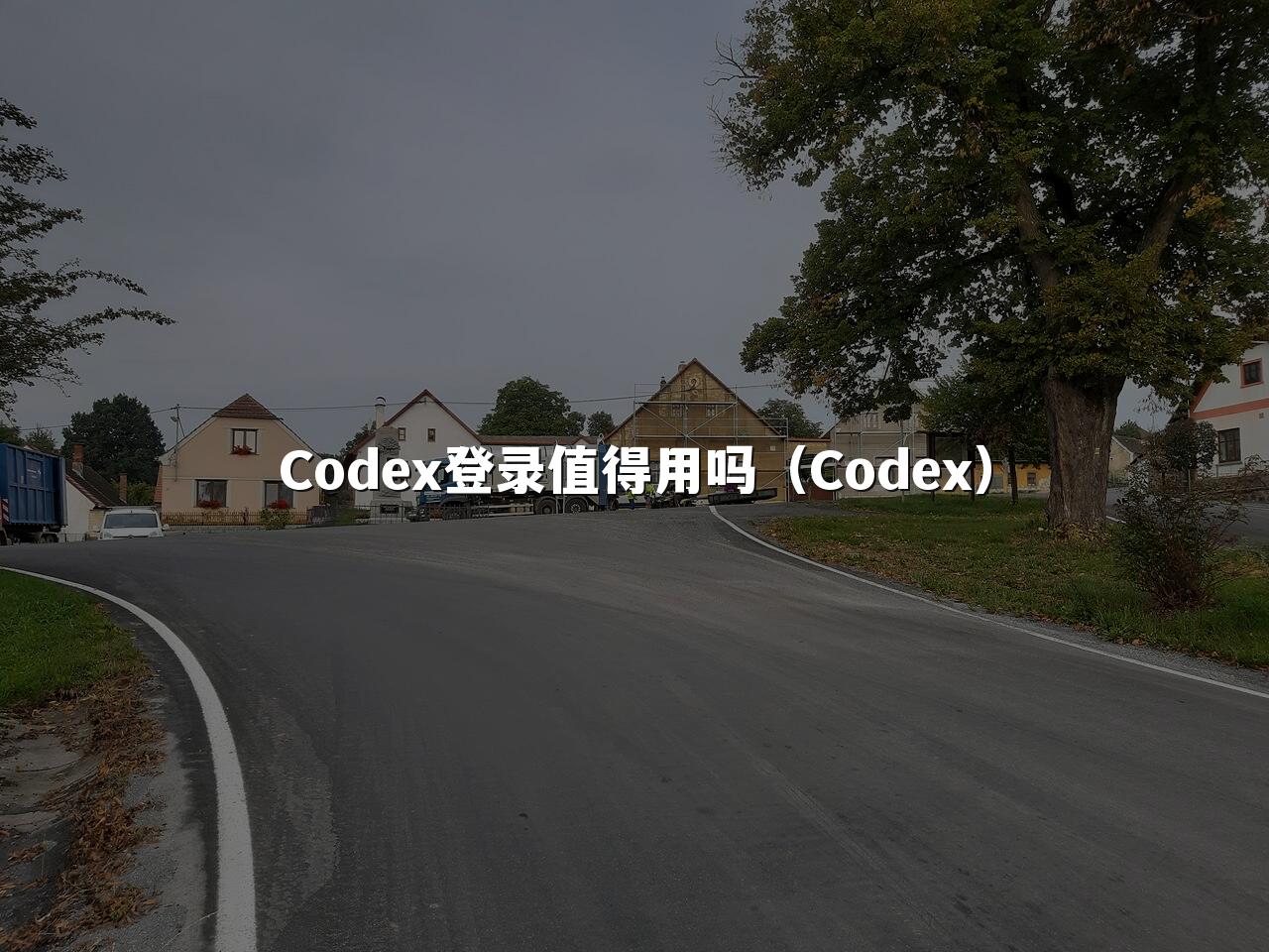 Codex登录值得用吗（Codex）
