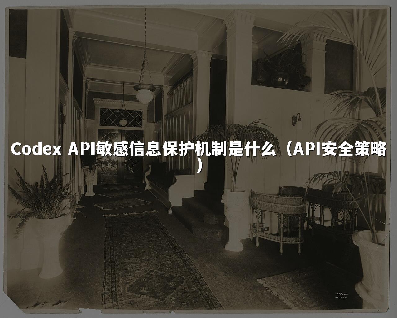 Codex API敏感信息保护机制是什么（API安全策略）