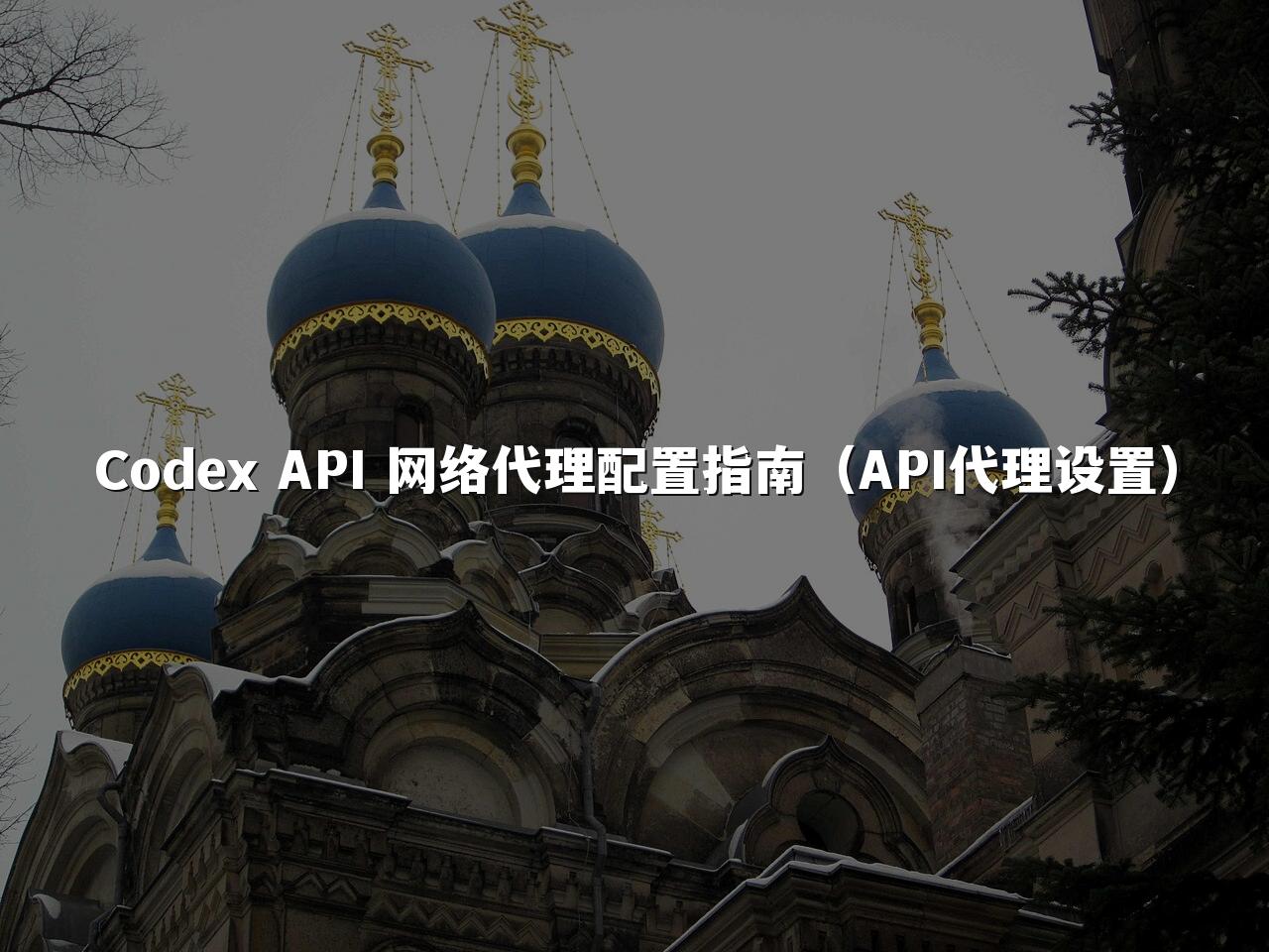 Codex API 网络代理配置指南（API代理设置）