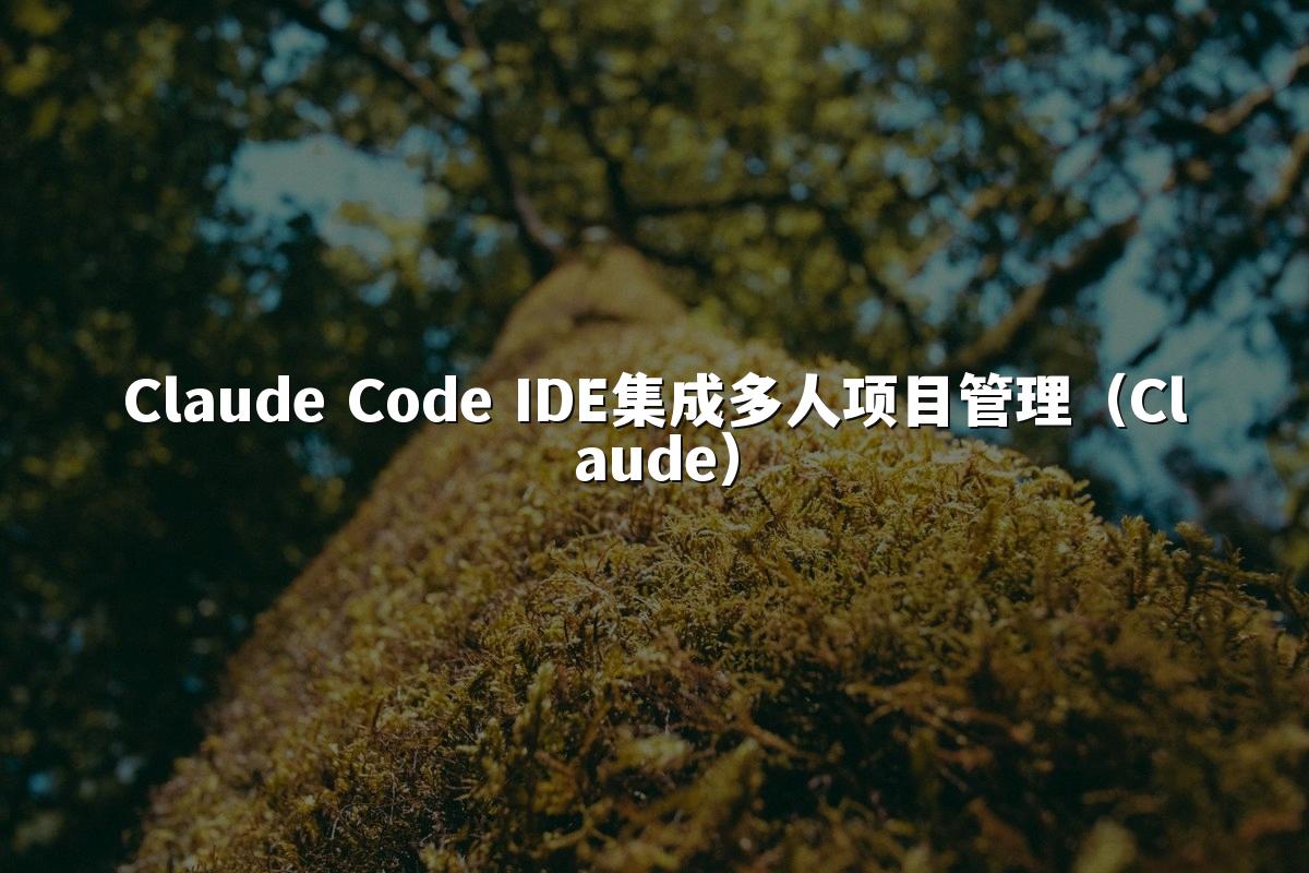 Claude Code IDE集成多人项目管理(Claude)