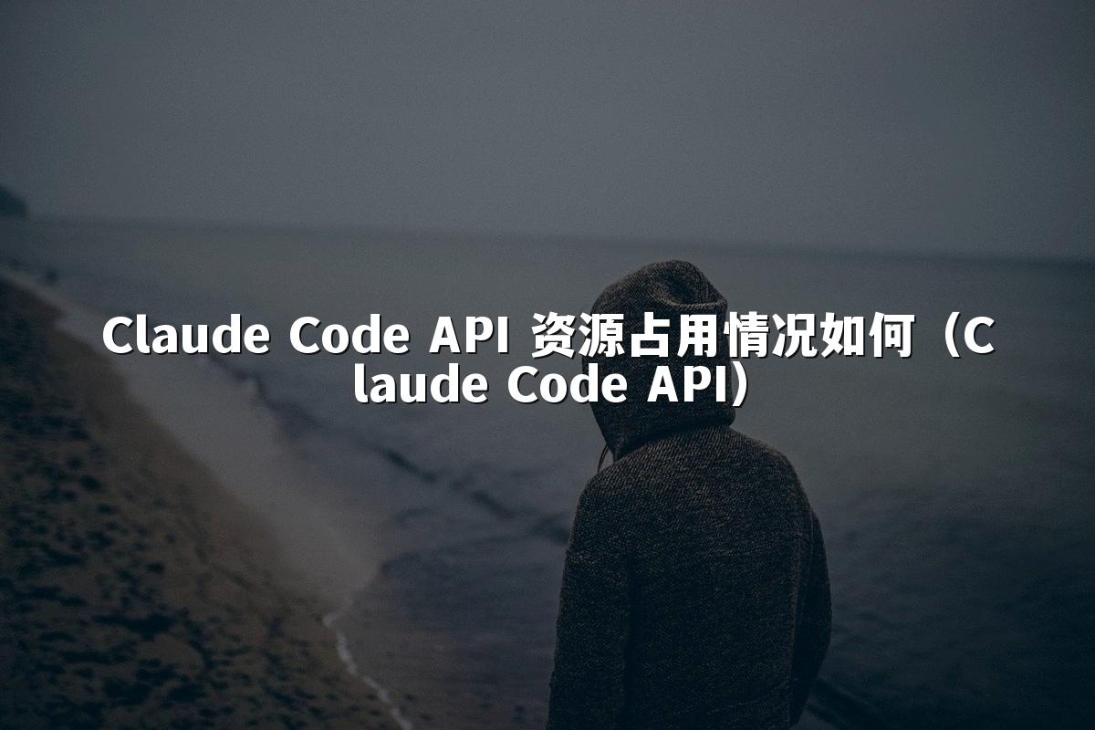 Claude Code API 资源占用情况如何（Claude Code API）