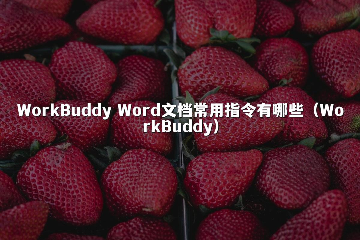 WorkBuddy Word文档常用指令有哪些(WorkBuddy)