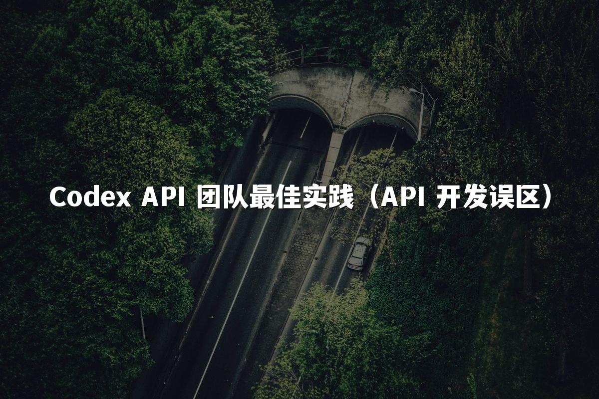 Codex API 团队最佳实践（API 开发误区）