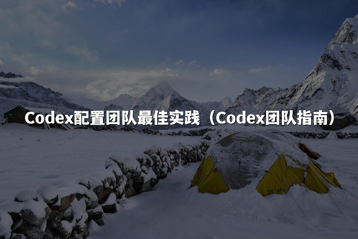 Codex配置团队最佳实践（Codex团队指南）