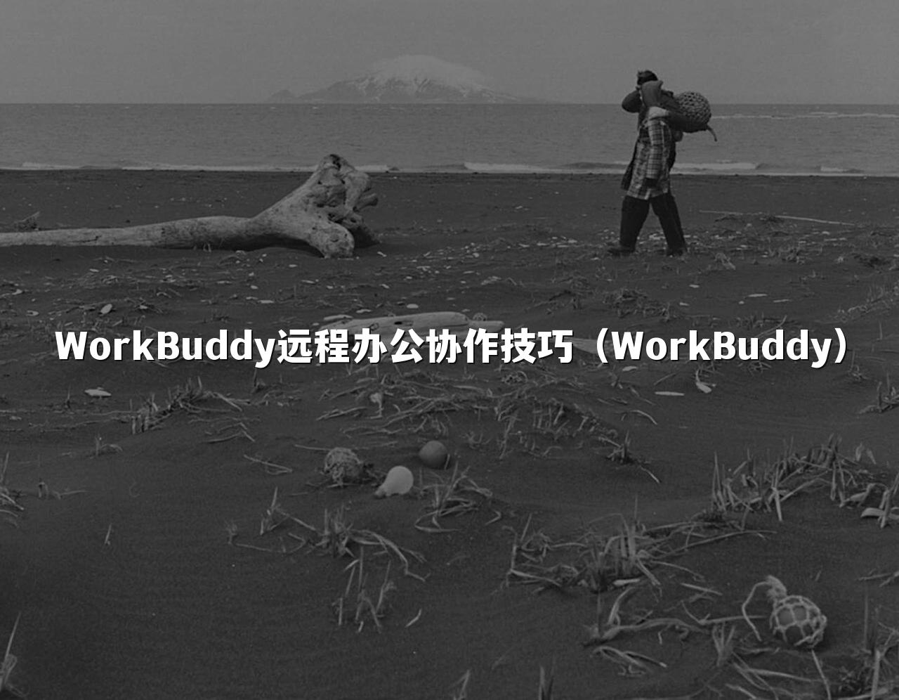 WorkBuddy远程办公协作技巧（WorkBuddy）