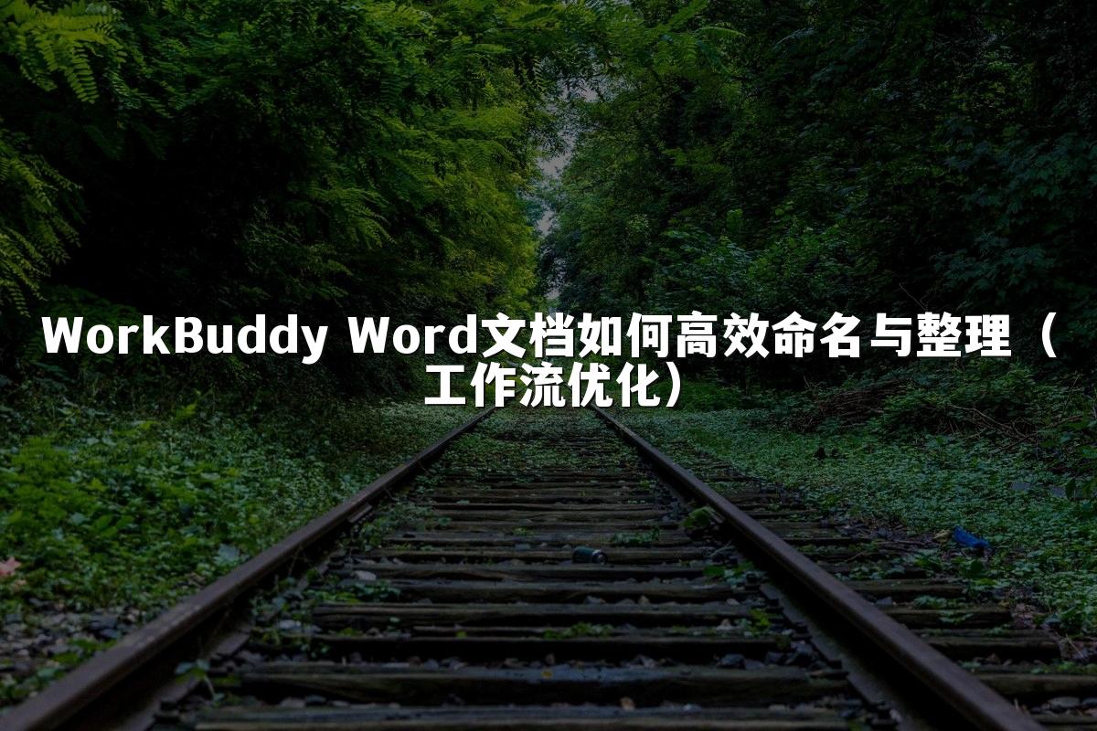 WorkBuddy Word文档如何高效命名与整理(工作流优化)