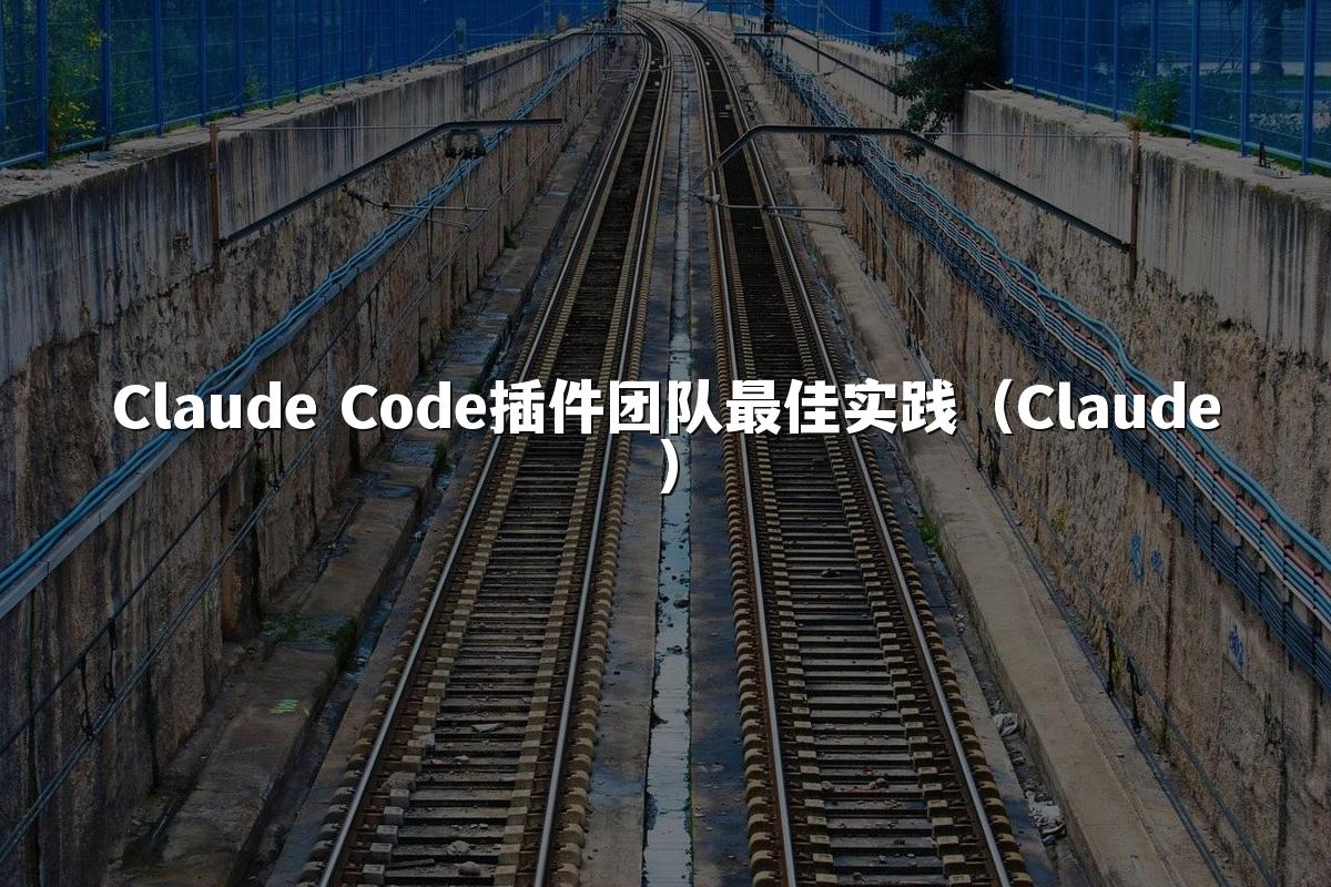 Claude Code插件团队最佳实践(Claude)