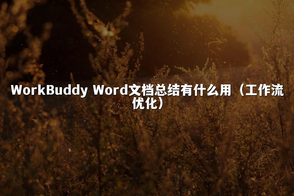 WorkBuddy Word文档总结有什么用（工作流优化）
