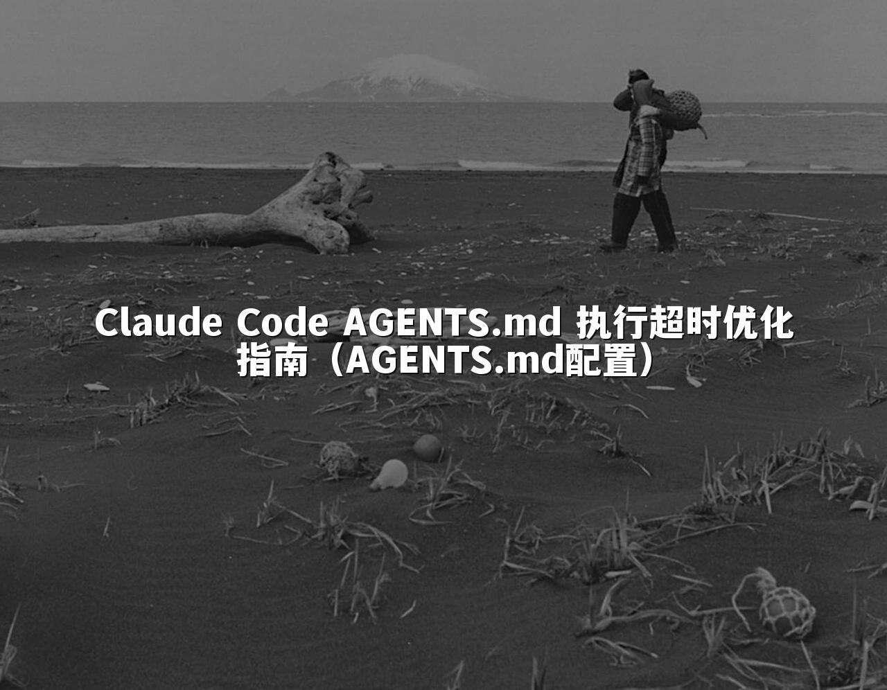 Claude Code AGENTS.md 执行超时优化指南(AGENTS.md配置)