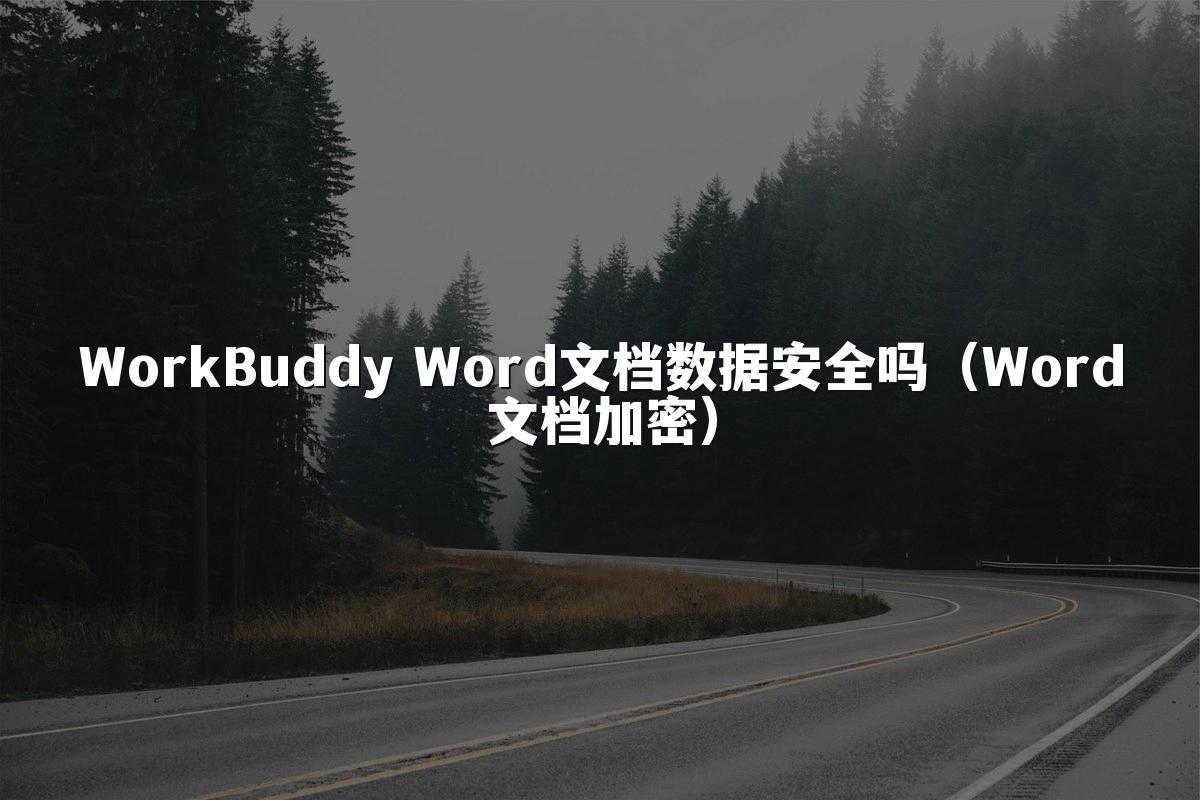 WorkBuddy Word文档数据安全吗(Word文档加密)