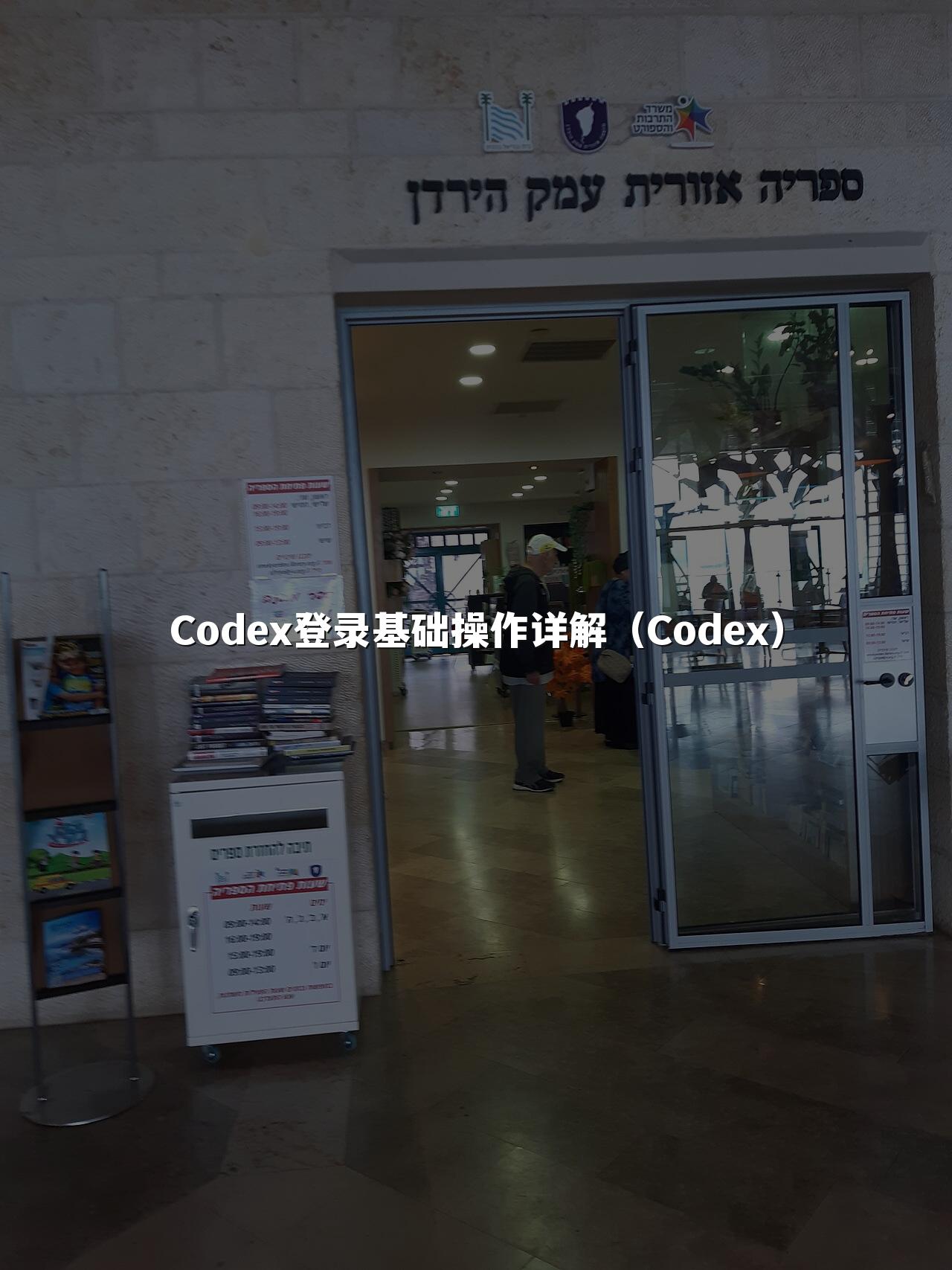 Codex登录基础操作详解(Codex)