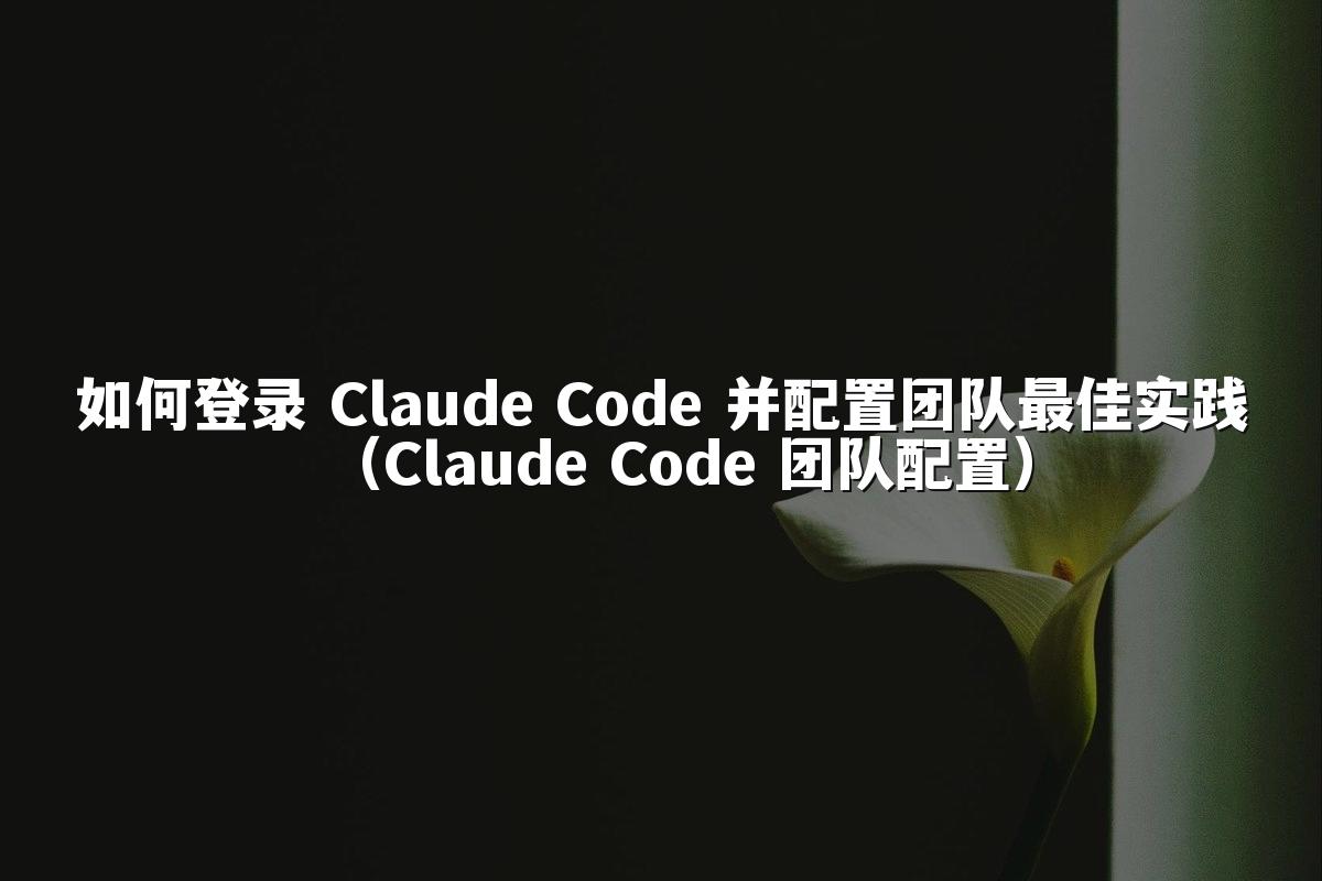 如何登录 Claude Code 并配置团队最佳实践（Claude Code 团队配置）