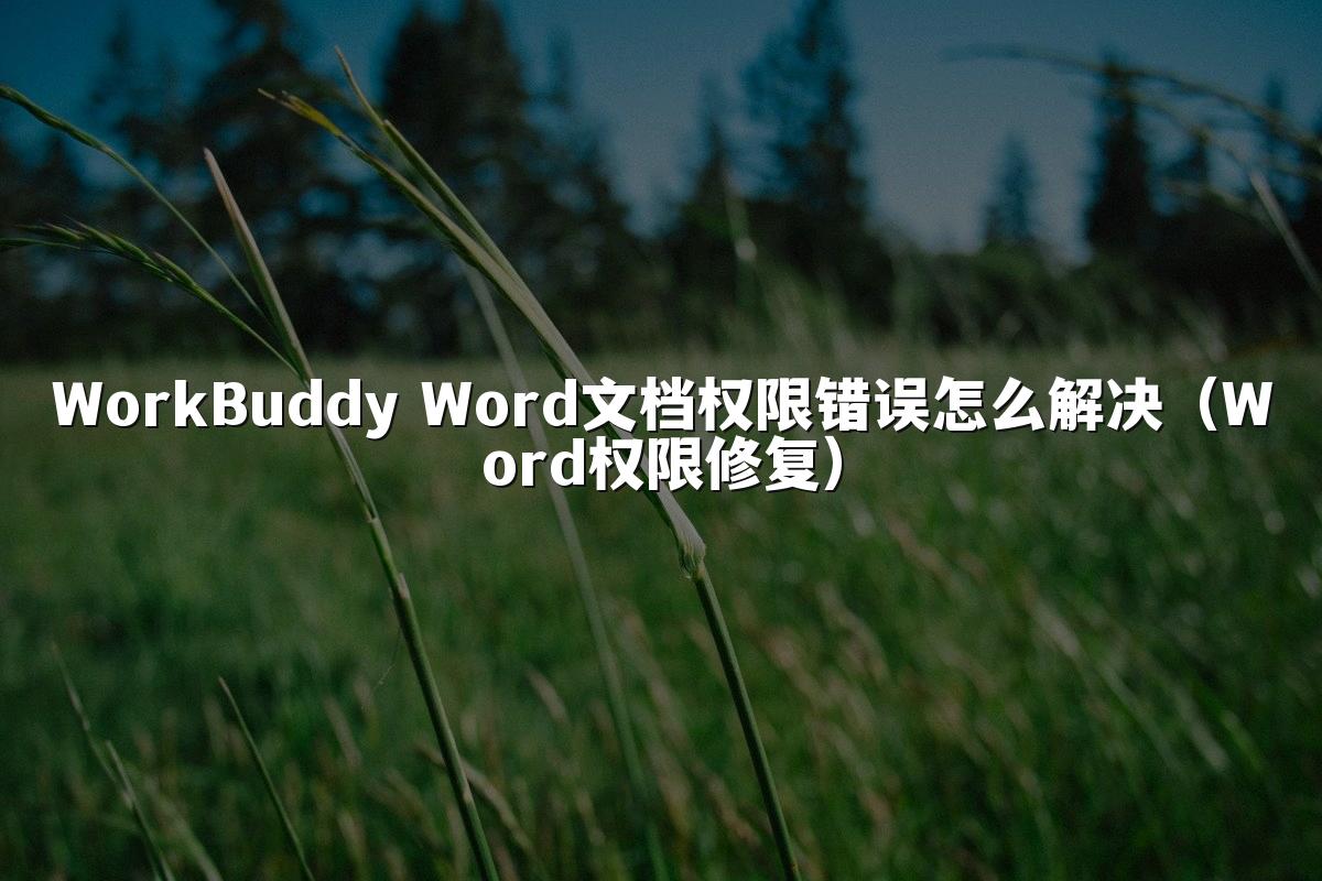 WorkBuddy Word文档权限错误怎么解决(Word权限修复)