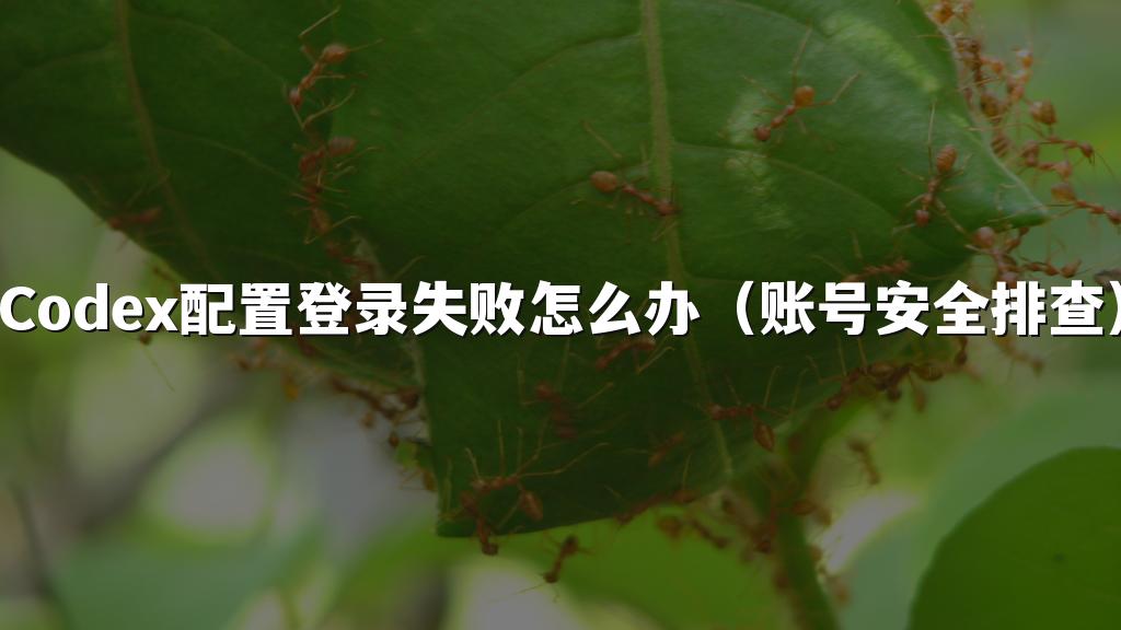 Codex配置登录失败怎么办（账号安全排查）