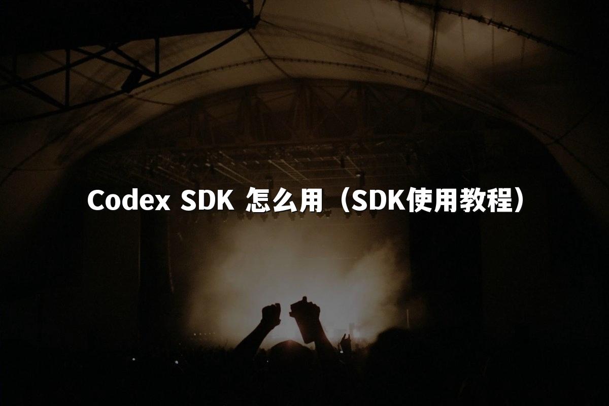 Codex SDK 怎么用（SDK使用教程）