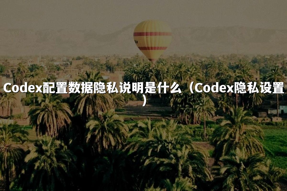 Codex配置数据隐私说明是什么（Codex隐私设置）