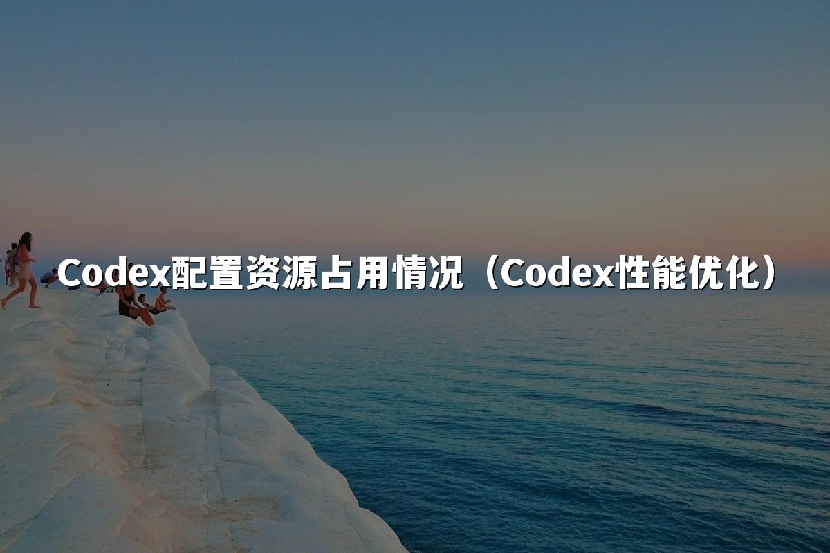 Codex配置资源占用情况（Codex性能优化）
