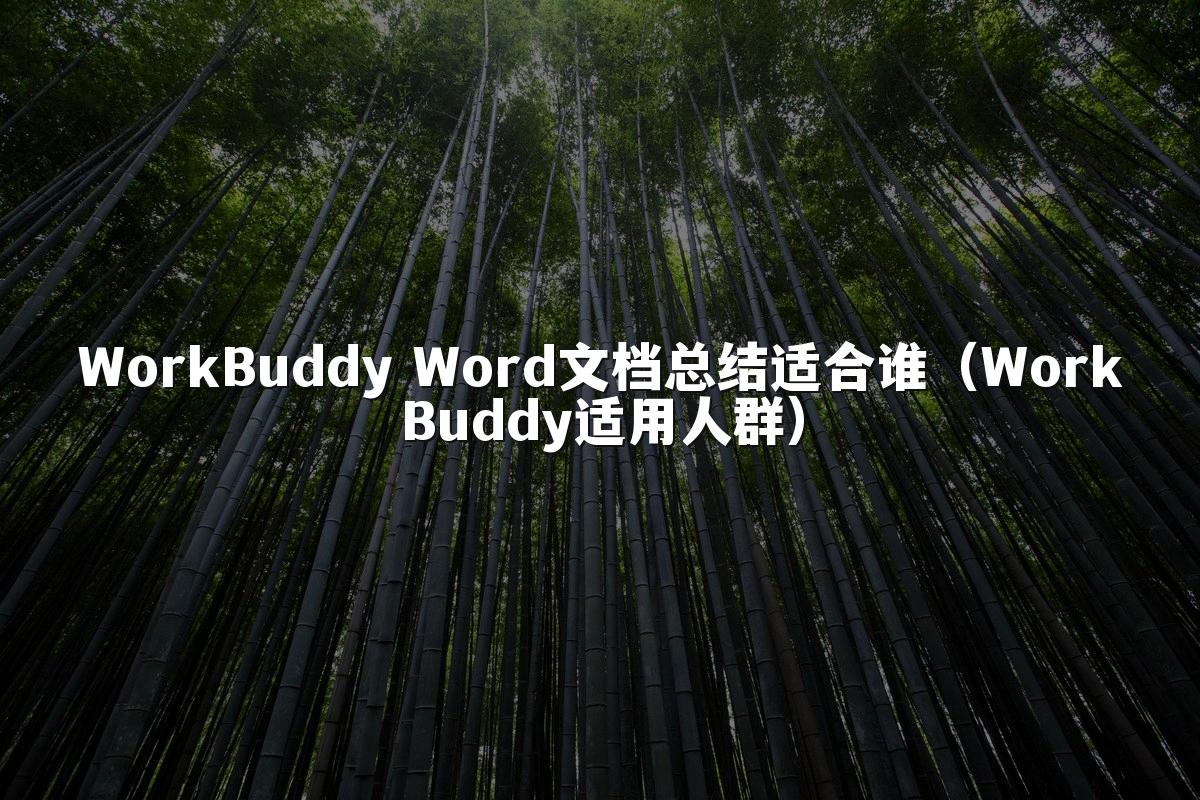 WorkBuddy Word文档总结适合谁（WorkBuddy适用人群）