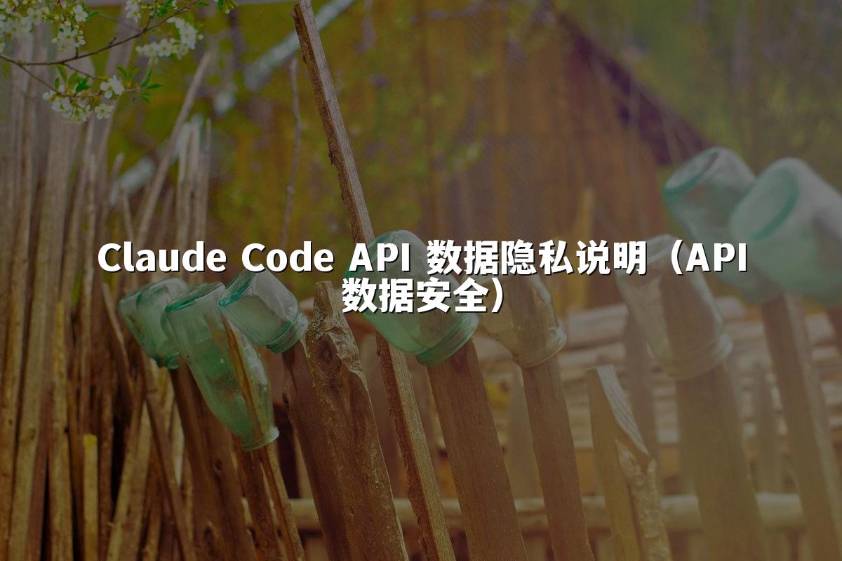 Claude Code API 数据隐私说明(API数据安全)
