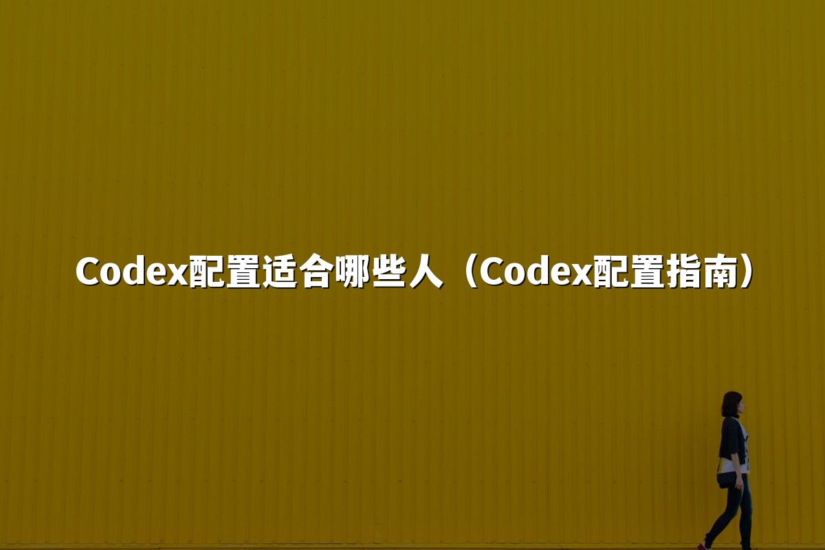 Codex配置适合哪些人（Codex配置指南）