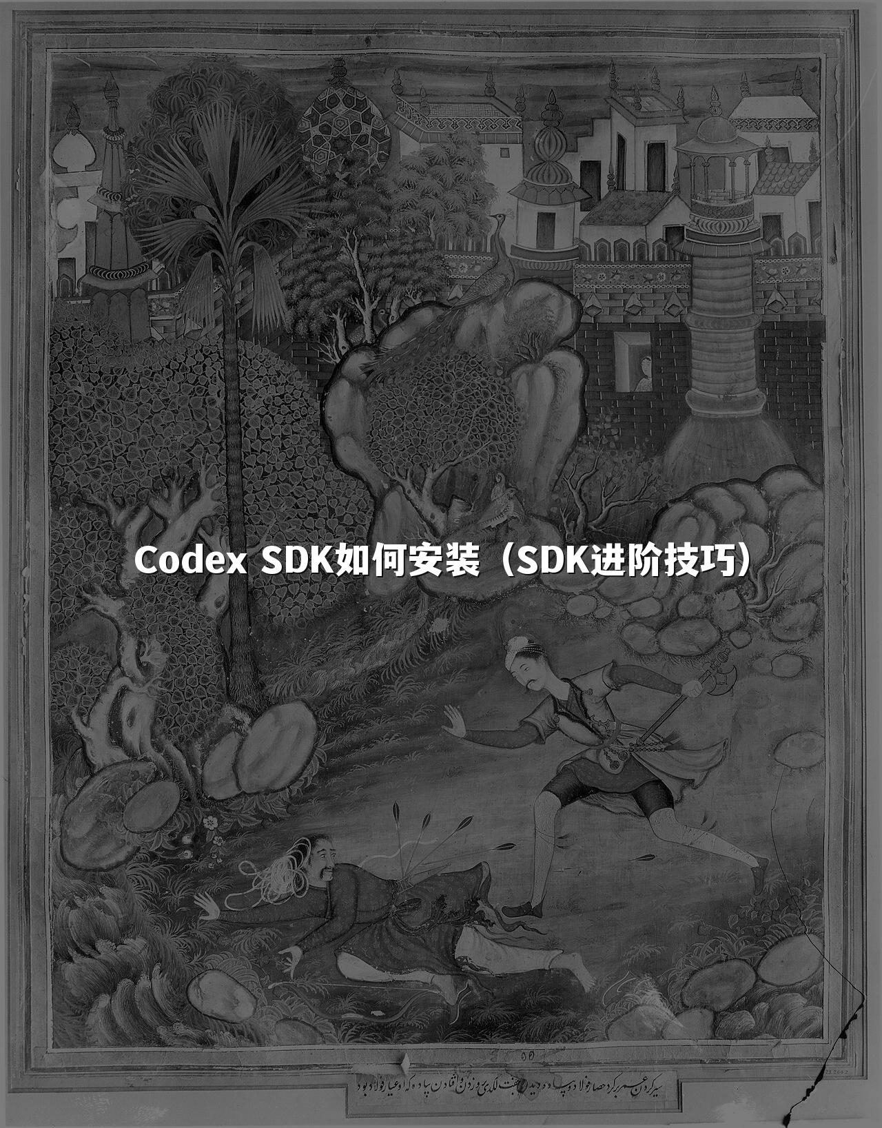 Codex SDK如何安装（SDK进阶技巧）