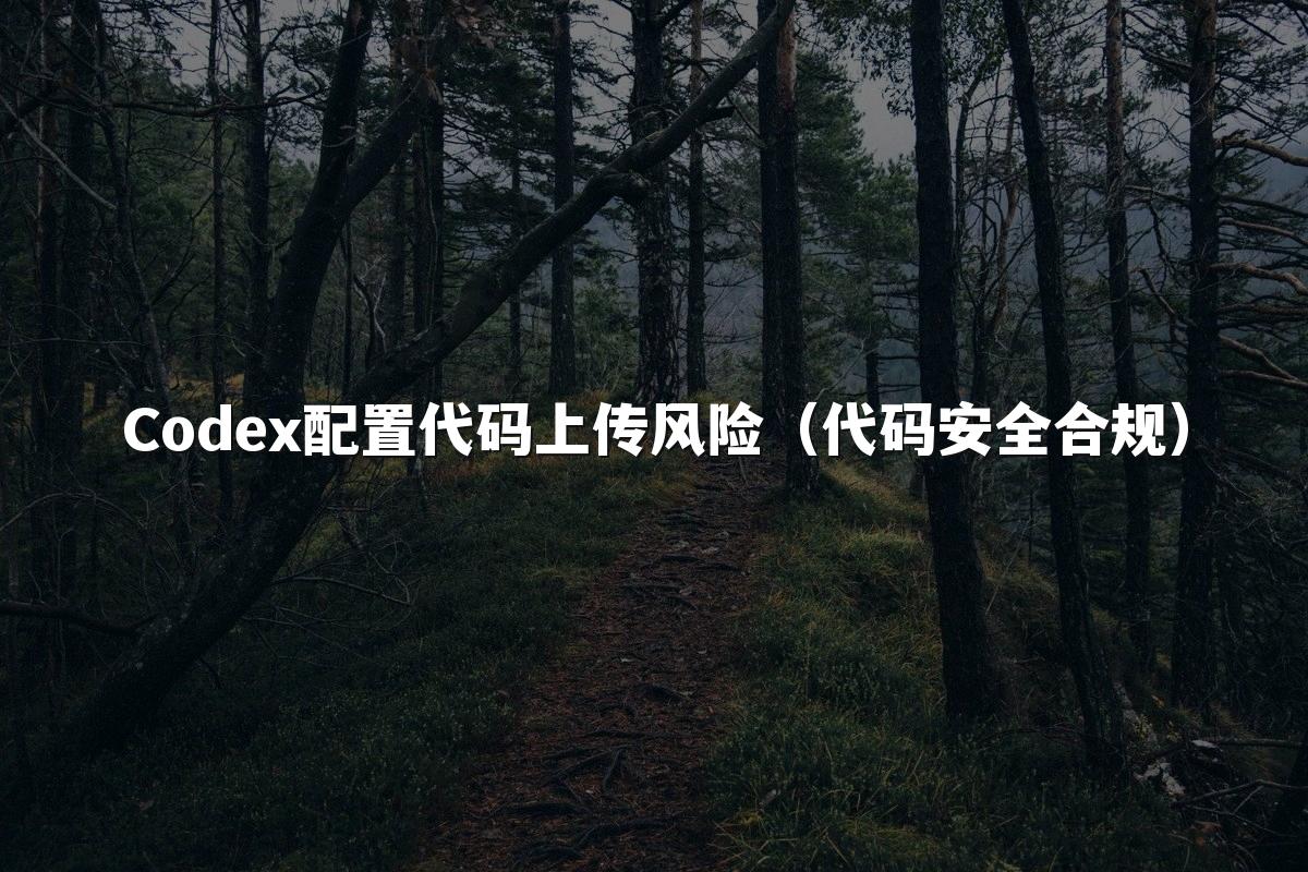 Codex配置代码上传风险（代码安全合规）