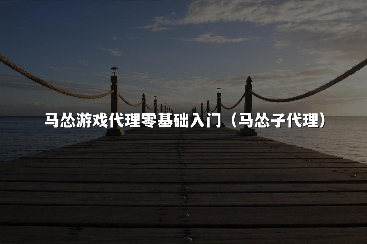 马怂游戏代理零基础入门(马怂子代理)