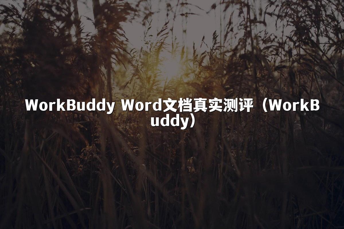 WorkBuddy Word文档真实测评（WorkBuddy）