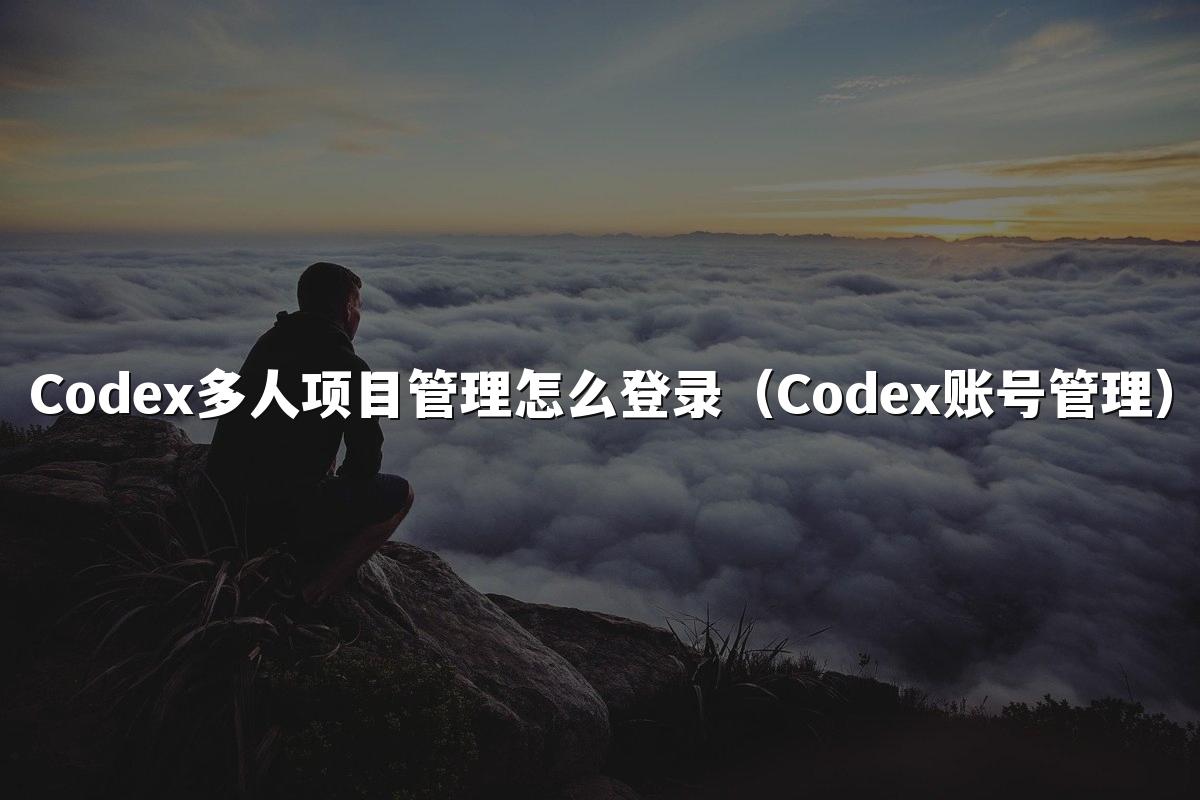 Codex多人项目管理怎么登录（Codex账号管理）