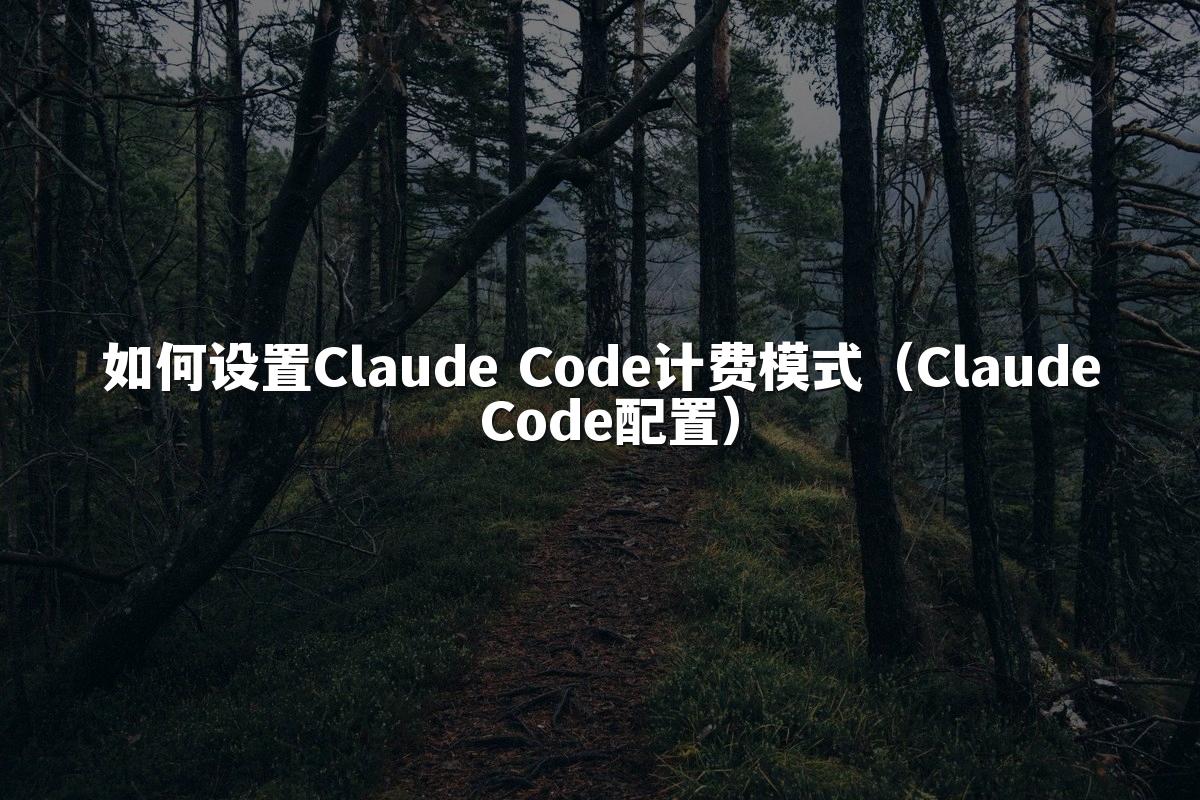 如何设置Claude Code计费模式（Claude Code配置）