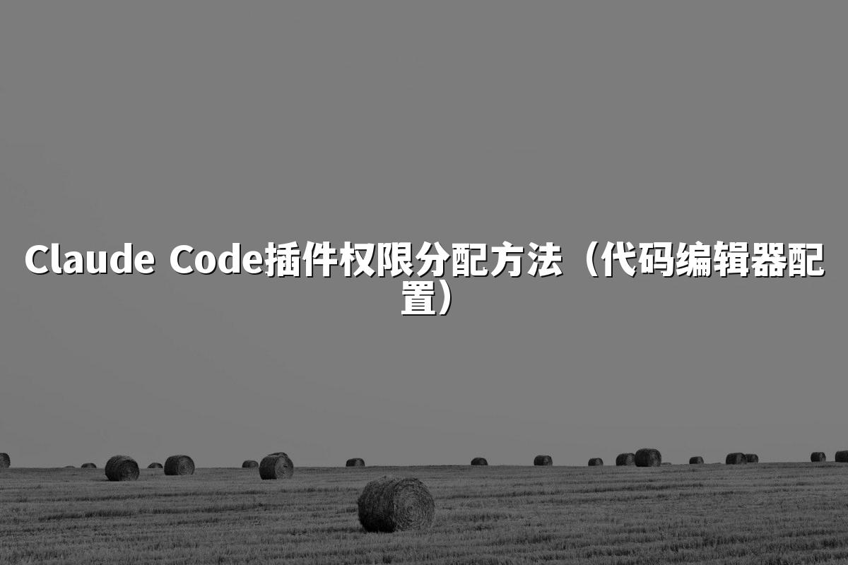Claude Code插件权限分配方法(代码编辑器配置)