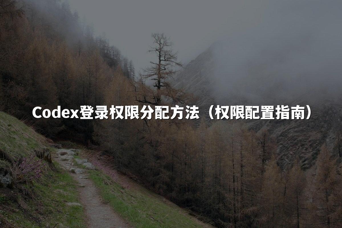 Codex登录权限分配方法（权限配置指南）