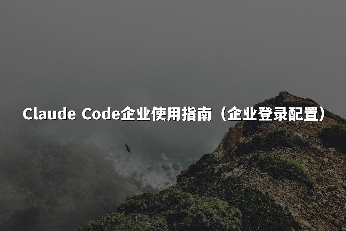 Claude Code企业使用指南(企业登录配置)