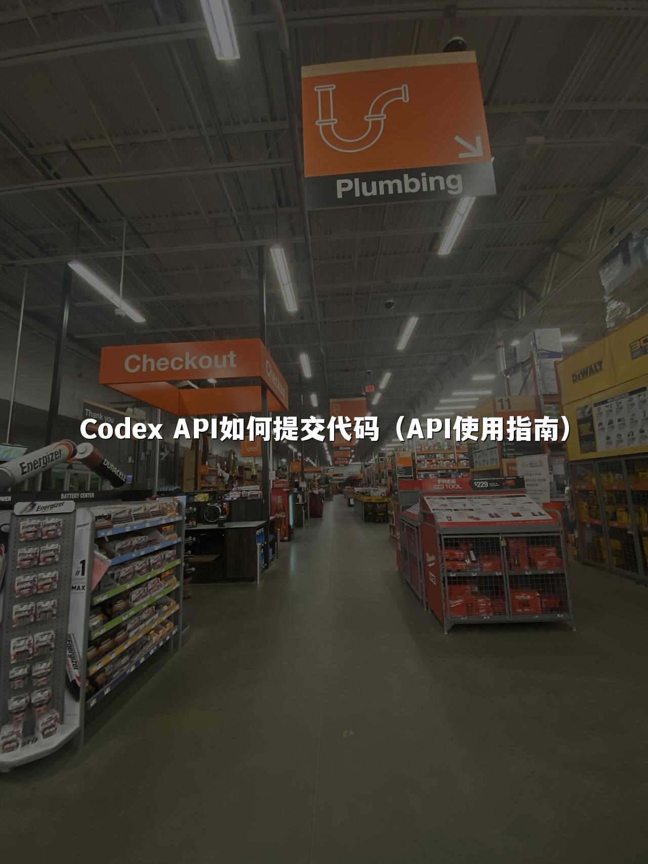 Codex API如何提交代码（API使用指南）