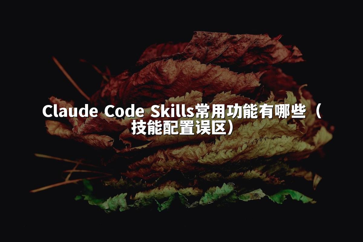 Claude Code Skills常用功能有哪些(技能配置误区)