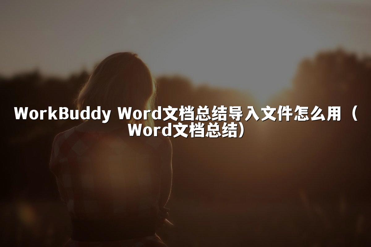 WorkBuddy Word文档总结导入文件怎么用（Word文档总结）