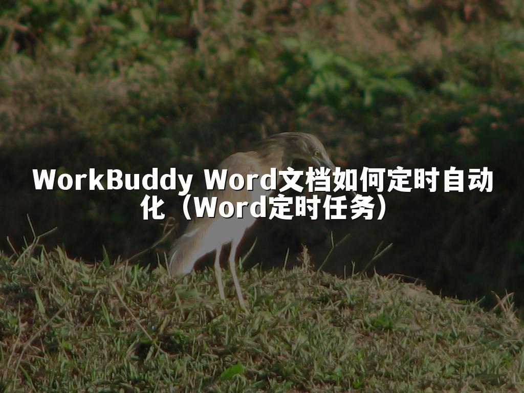 WorkBuddy Word文档如何定时自动化(Word定时任务)