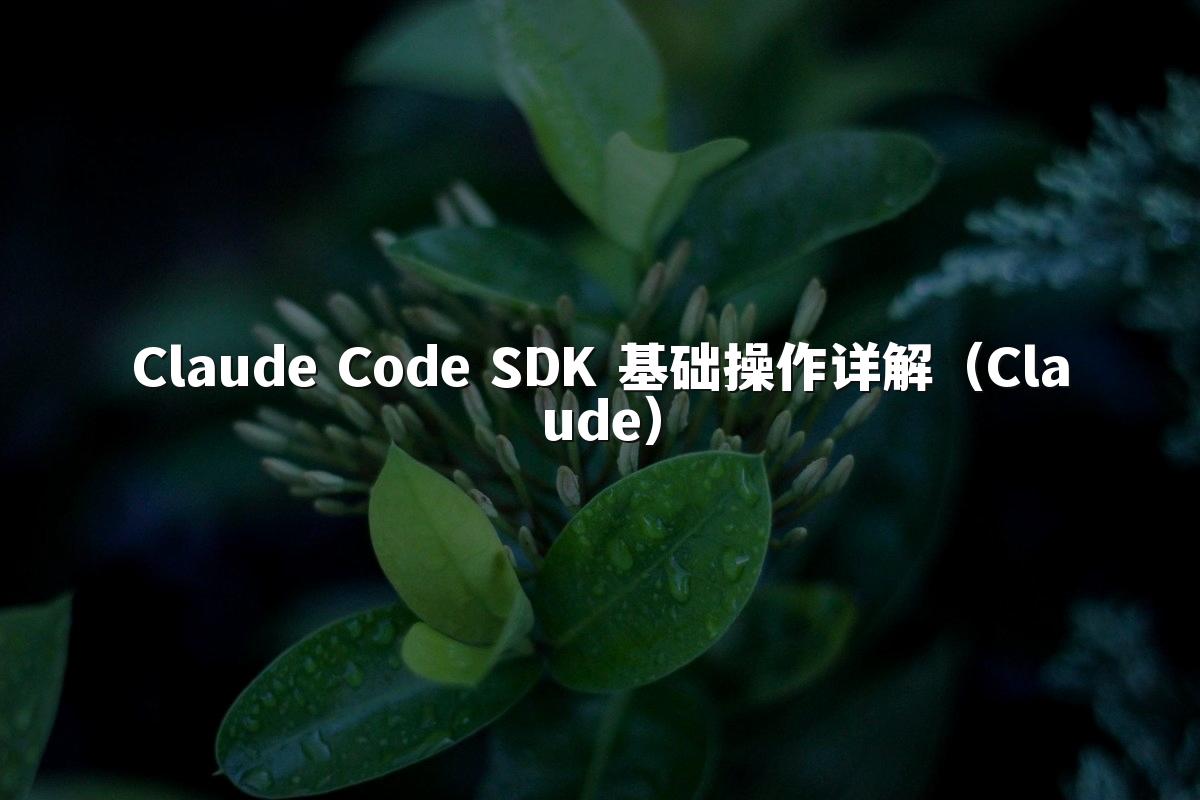Claude Code SDK 基础操作详解（Claude）