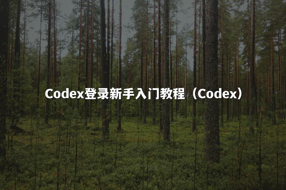 Codex登录新手入门教程（Codex）