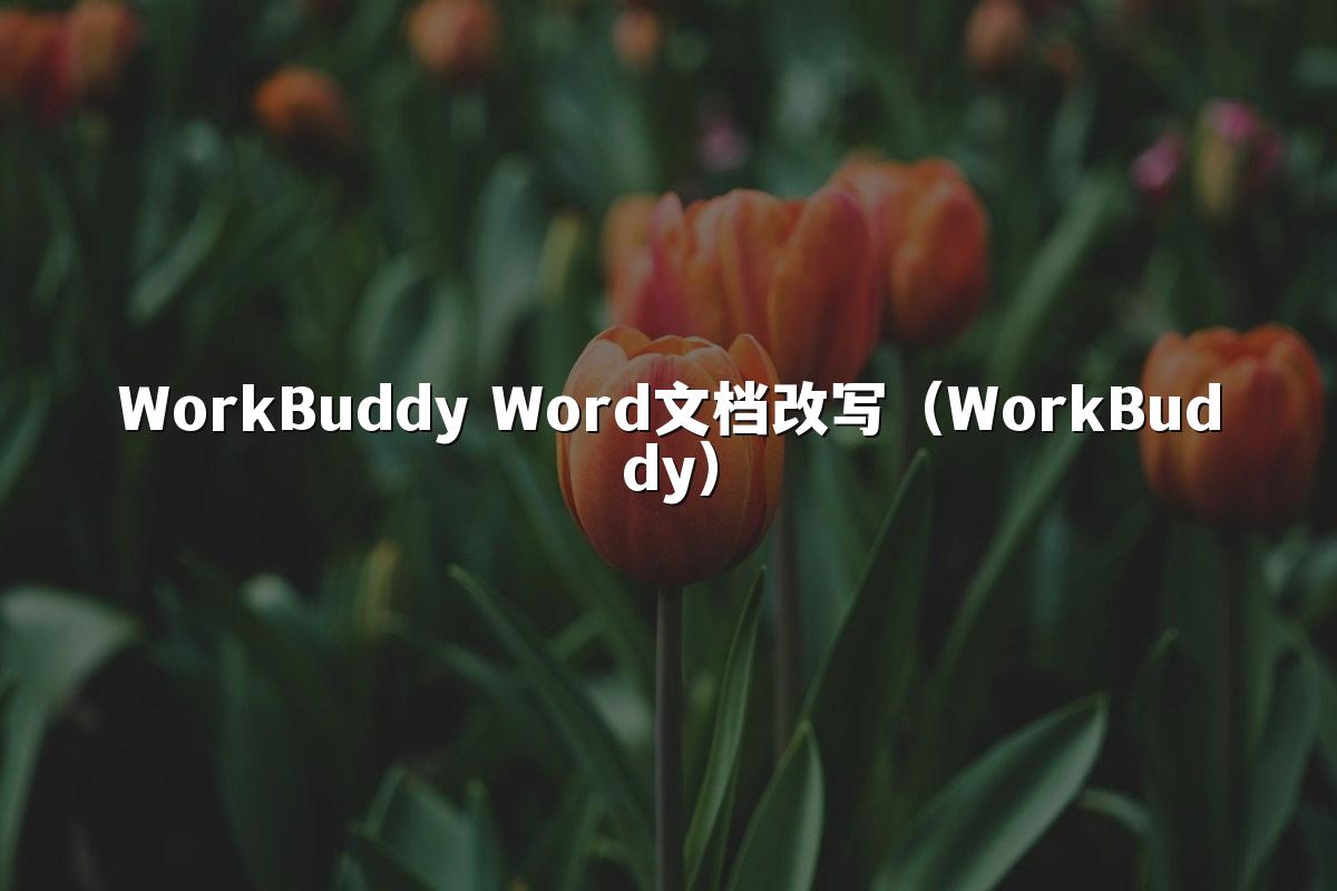 WorkBuddy Word文档改写（WorkBuddy）