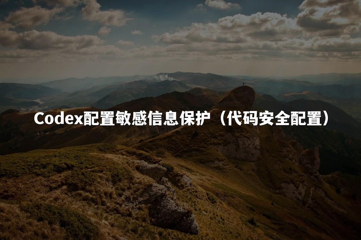 Codex配置敏感信息保护（代码安全配置）
