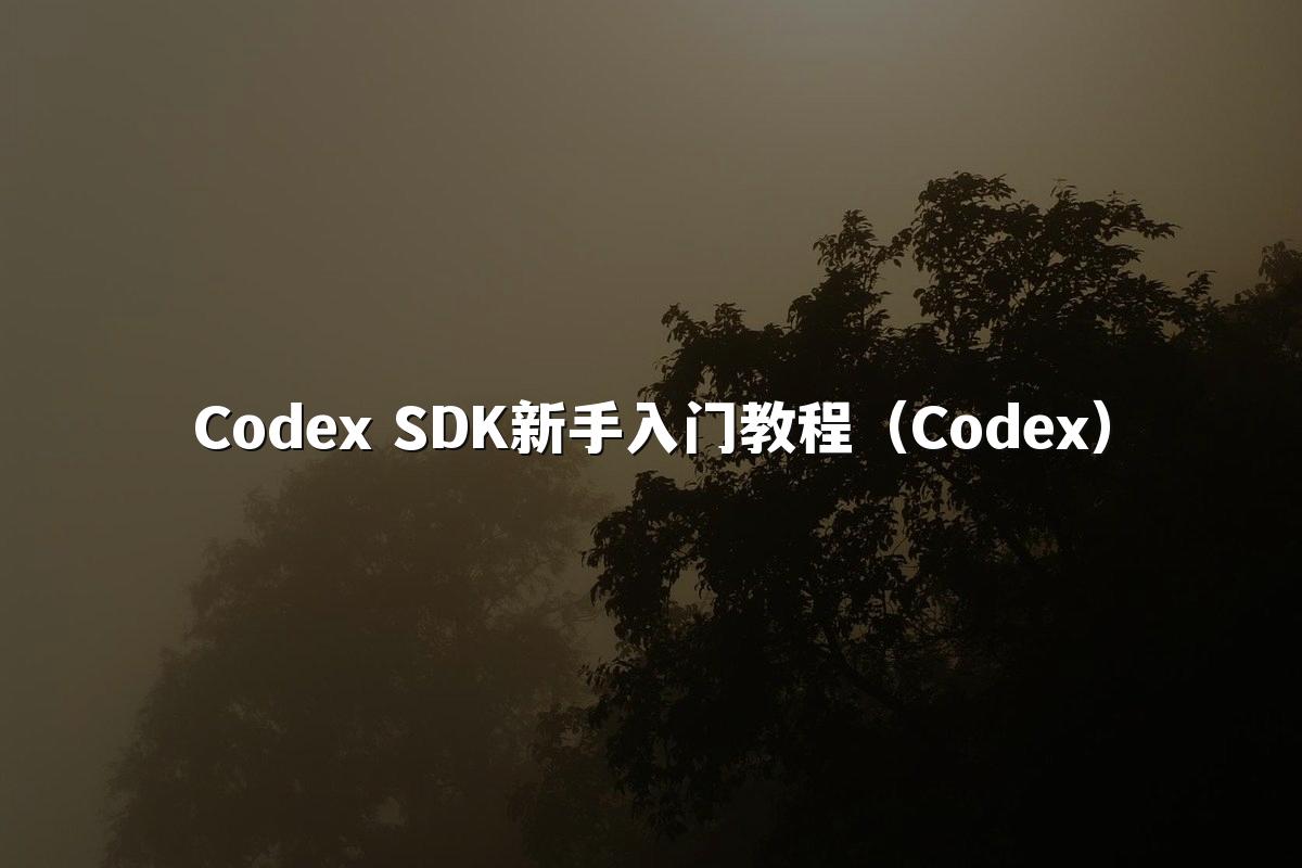 Codex SDK新手入门教程(Codex)